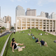 Illustration for article titled A Rooftop Park in the Middle of New York